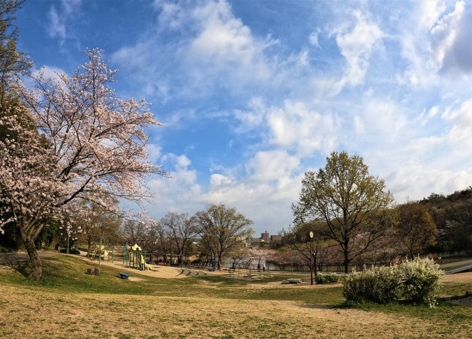 【名古屋市内でデイキャンプ】無料BBQ場のある天白公園でお花見デイキャンプ | もこブログ